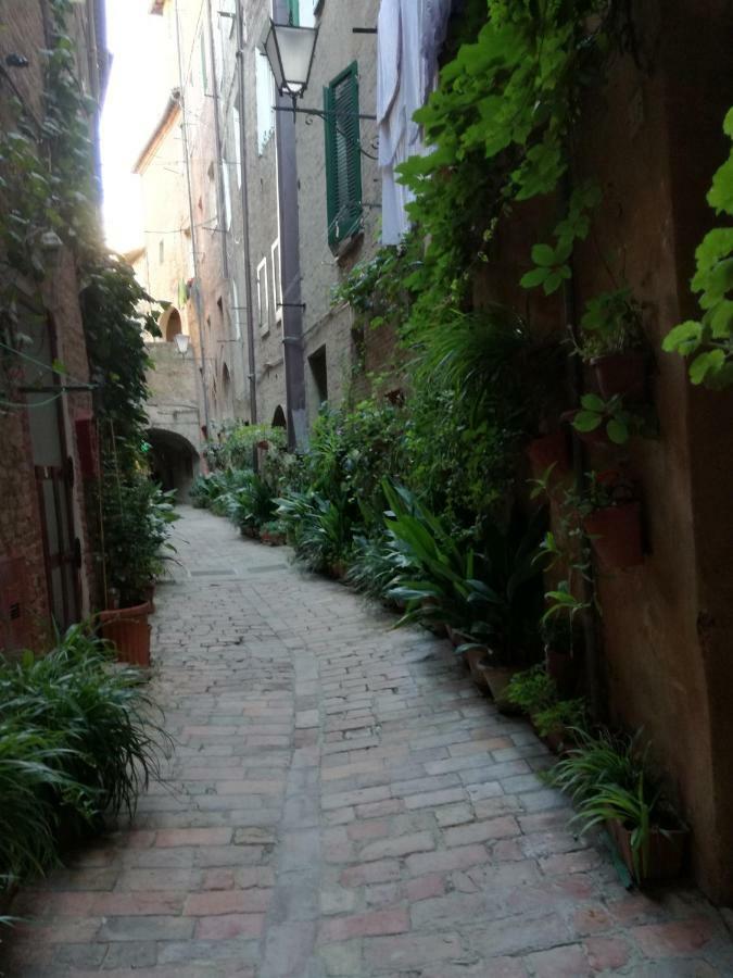Appartamento Nonna Anna Siena Esterno foto